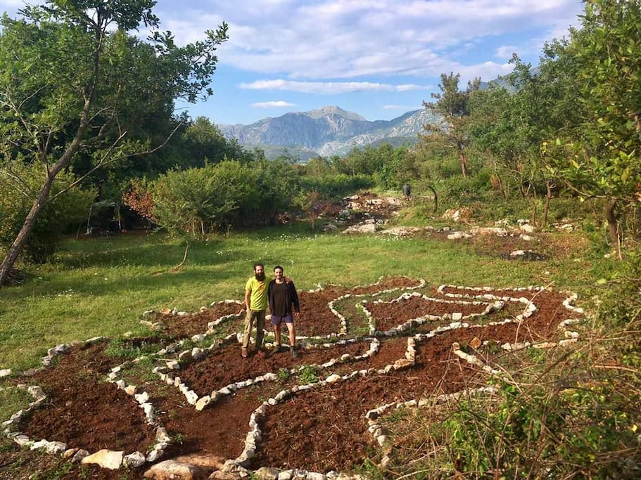 The Garden