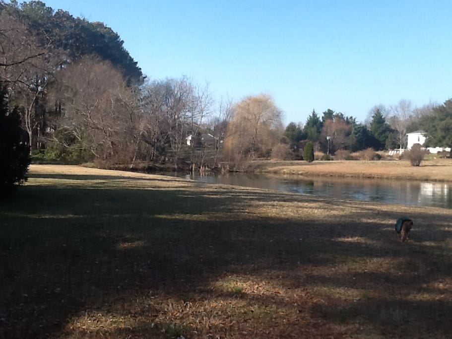 Rooms For Rent Chestertown Md Rooms For Rent Chestertown Md