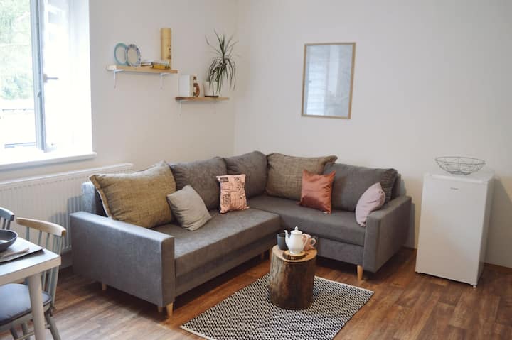 Zastávka Do Lázeňského Trojúhelníku - Apartmán č.2 - Bad Brambach