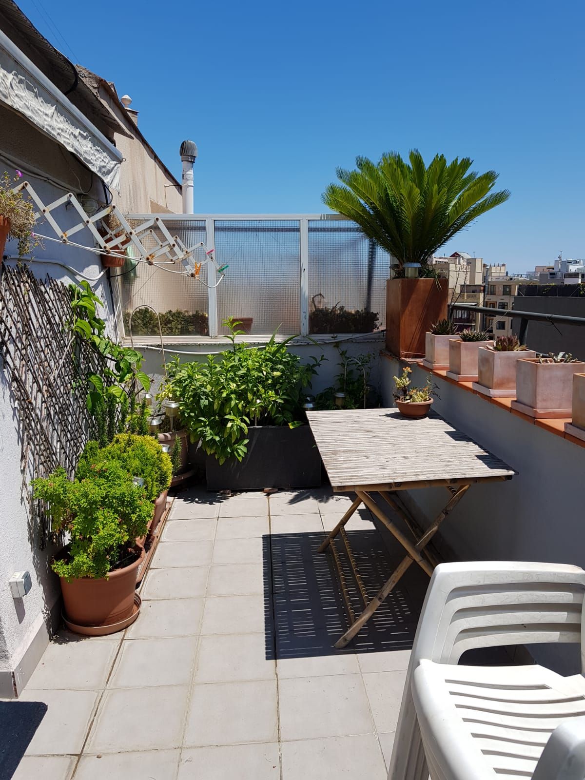 A sunny terrace is adorned with a variety of potted plants, including herbs and flowering plants. A wooden table is set against a vibrant backdrop of greenery, while simple white chairs provide a place to relax. A clear blue sky is visible above, enhancing the tranquil atmosphere.