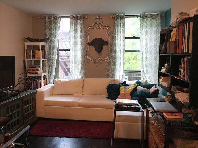 Cozy Contemporary Couch by Central Park