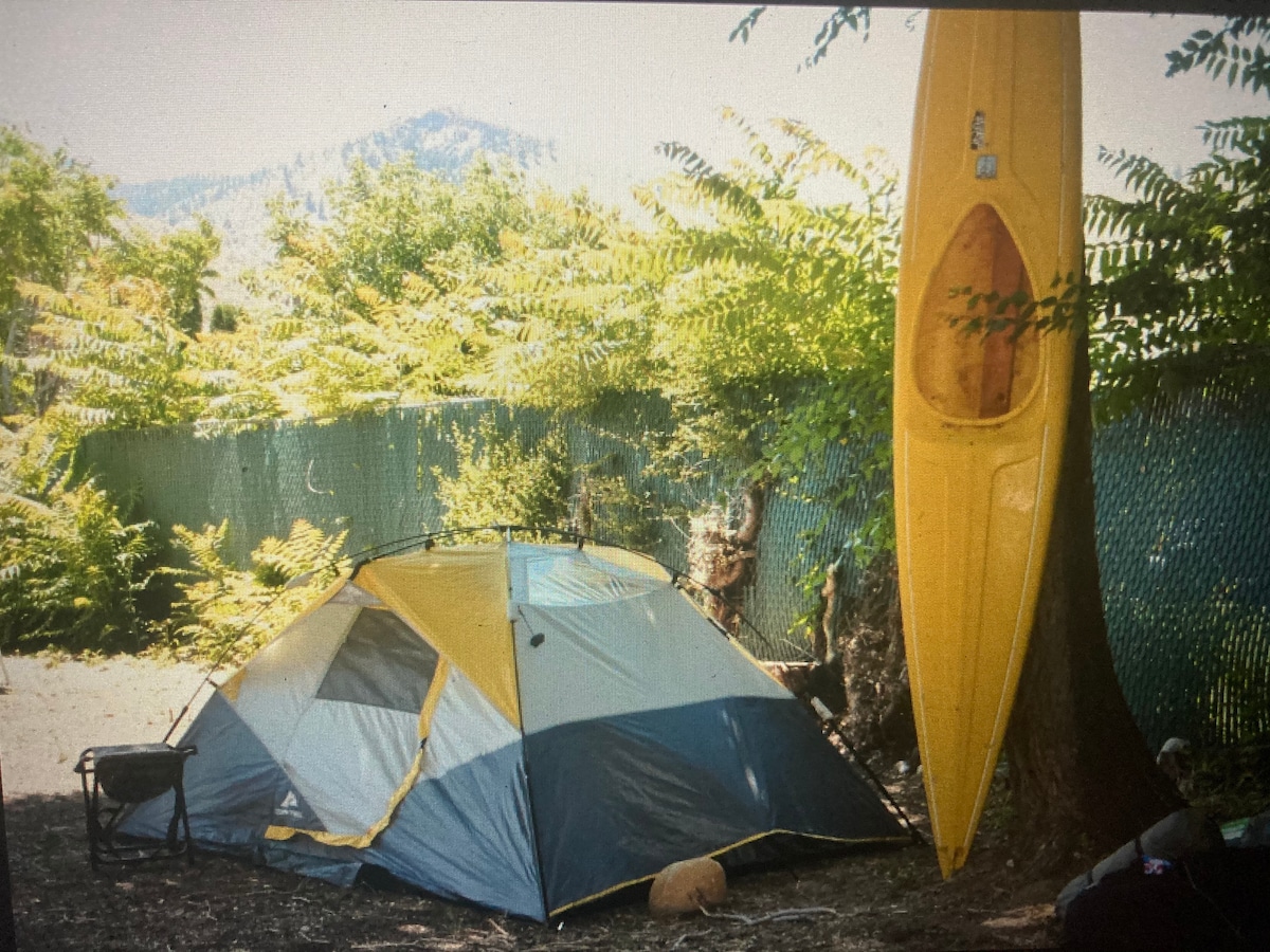 A spacious tent is set up among lush green ferns, with a bright yellow kayak secured against a nearby tree. A gravel surface is visible around the tent, providing a clear area for outdoor activities.