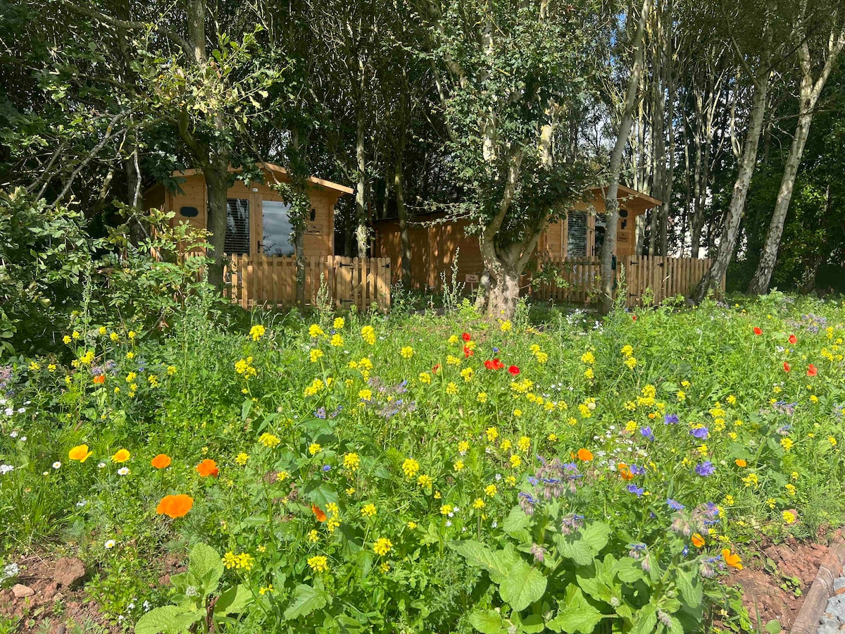 Two wooden cabins are nestled among lush greenery and colorful wildflowers. A vibrant mix of yellow, red, and blue blooms creates a welcoming outdoor area, while trees provide dappled shade, enhancing the serene woodland setting.