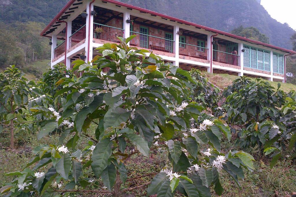 From left to right, second floor: Bedroom 2-Bedroom 1- Main Bedroom- kitchen