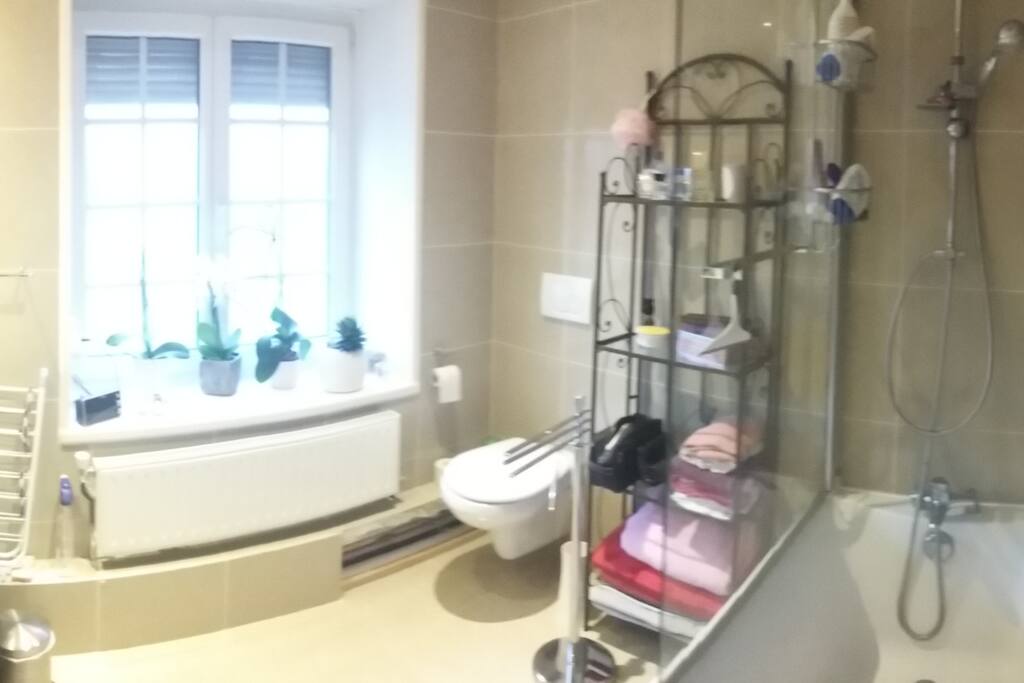 Salle de Bain (Douche/Baignoire)