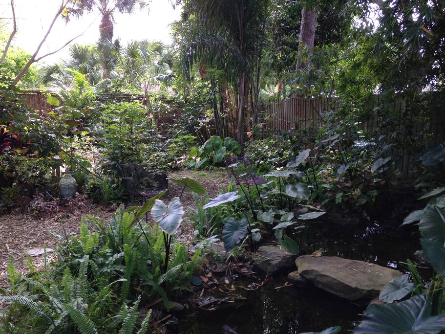 Backyard and fish pond