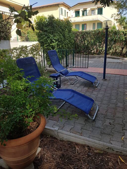 Giardino