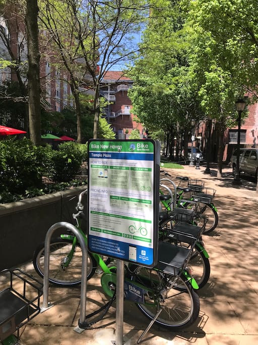 Temple Street bike rentals-Bike New Haven