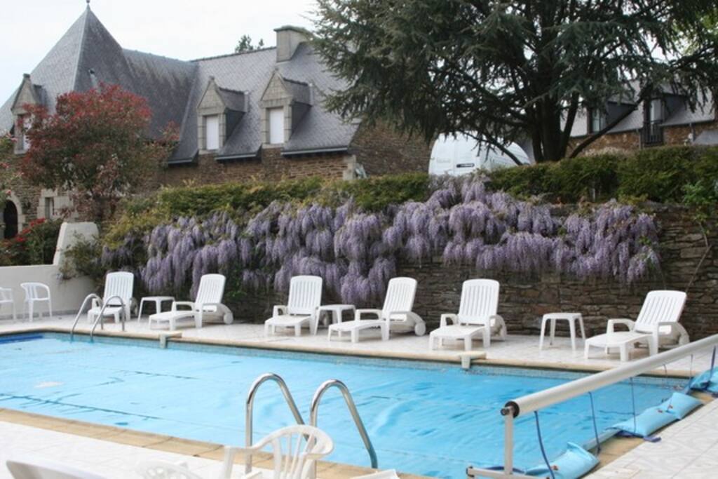 The pool
