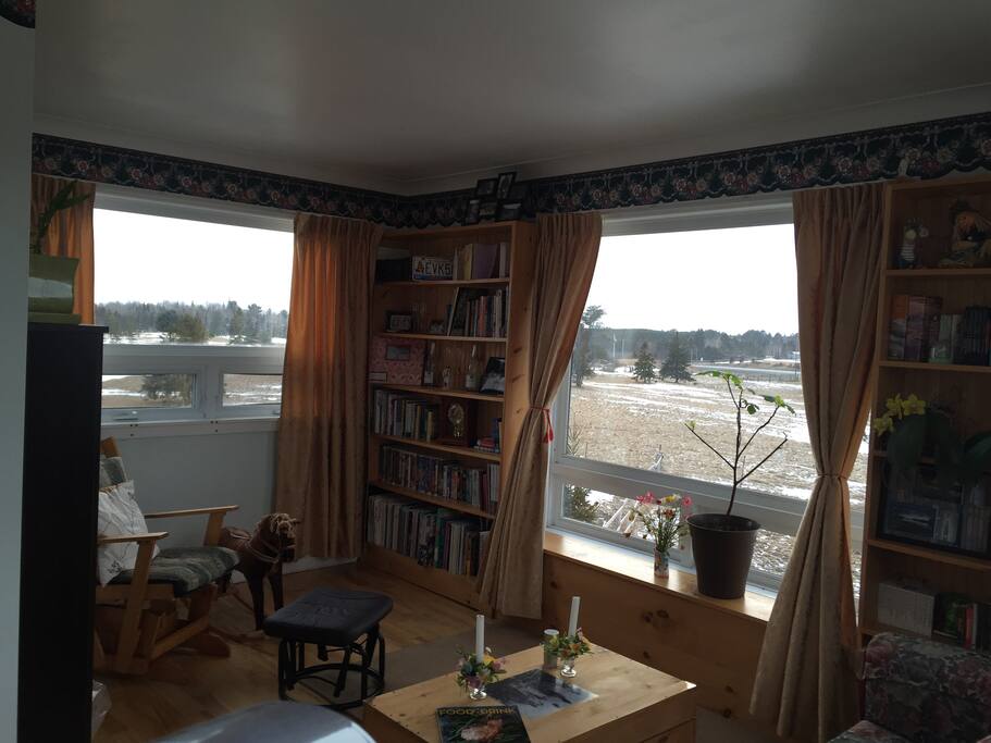 Library with available Pull out sofa