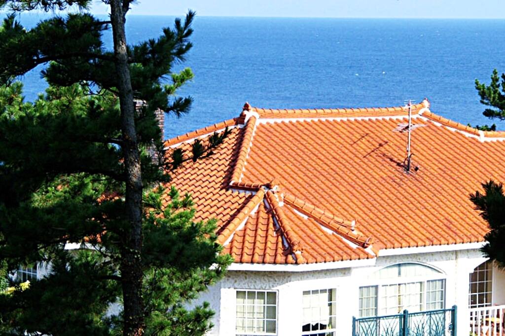 Our place is located right in front of Jeju ocean (저희는 바다 바로 앞에 위치해 있답니다)