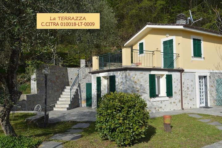 Cottage the Terrace