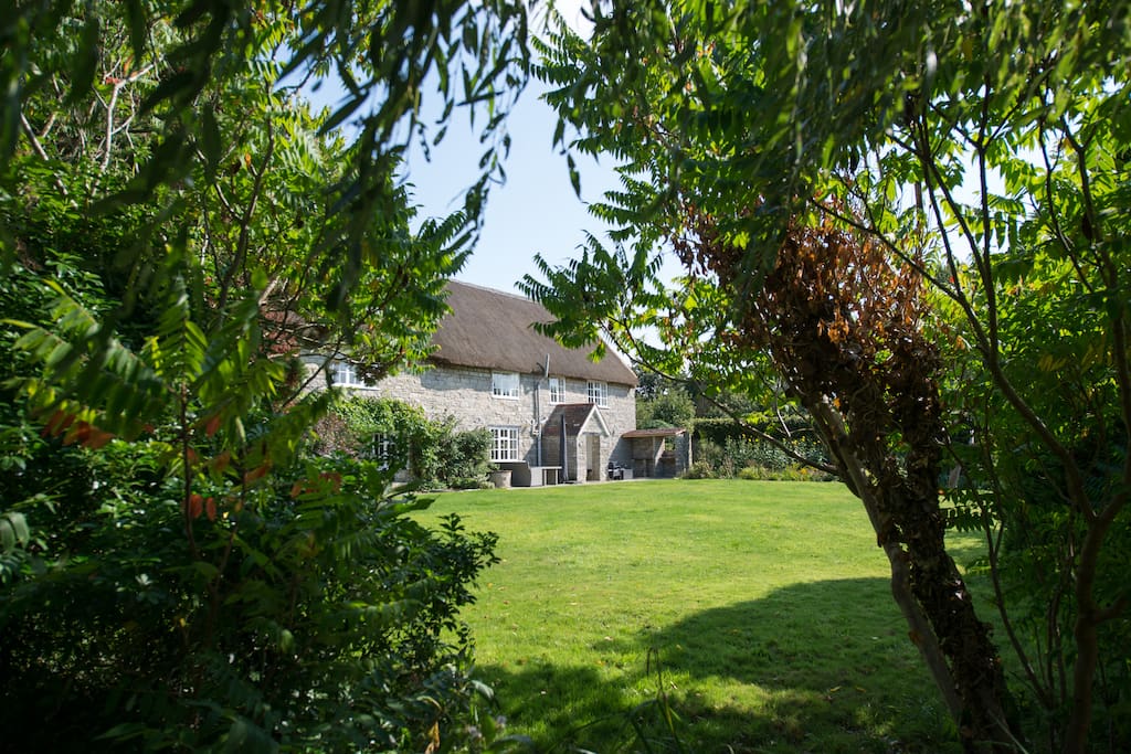One of many tress surrounding the garden