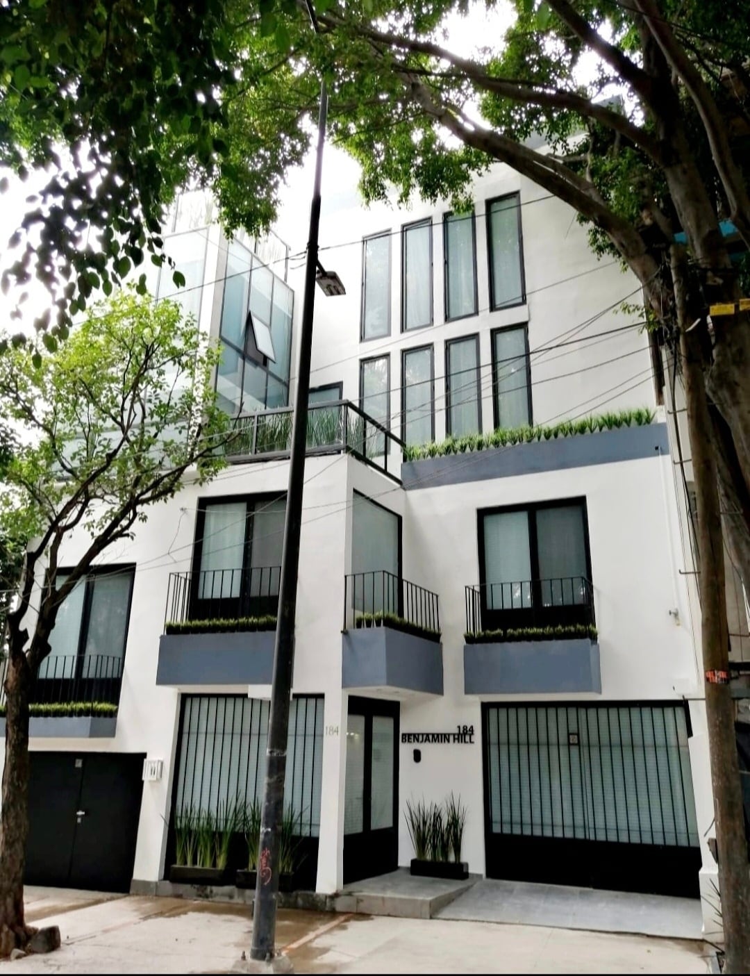 A modern building features multiple levels with large windows and balconies. The façade incorporates sleek lines and a mix of greenery, providing visual interest. Dense trees flank the structure, adding to the urban landscape. The entrance is accessible from the street, with clear outdoor lighting.