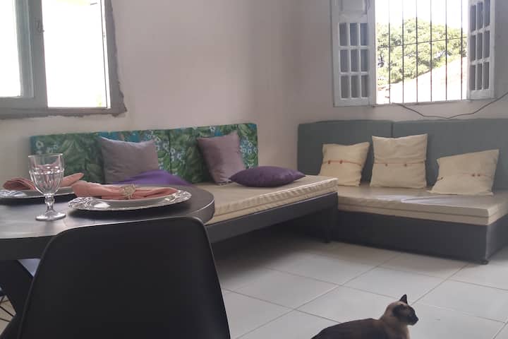 נעים, נוחות ופשטות בסלון. ביקאמה זו יכולה להיות קומפקטית, מצוידת או בצורת L. 