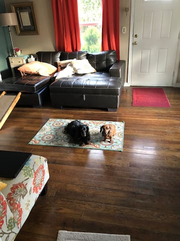 Small dog friendly cottage in South Seattle.