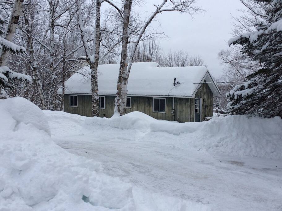 Enjoy full seclusion in our cabin surrounded by 4-acre private wooded land nested within the pristine White Mountains National Park.