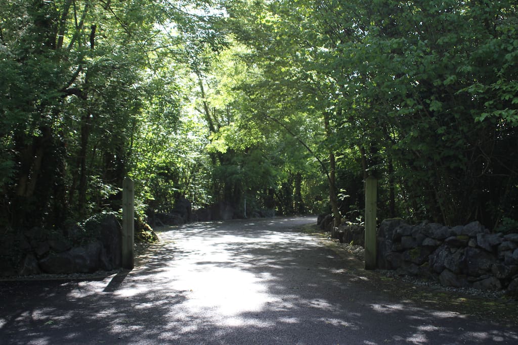 entrance to avenue from road
