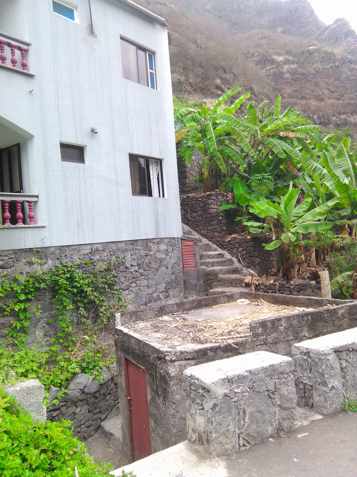 A two-story building is seen beside a lush green area, featuring multiple banana plants. Stone steps lead upward from the ground level, complemented by a retaining wall made of stone. A simple wooden door is visible at the base, along with a small, open area.