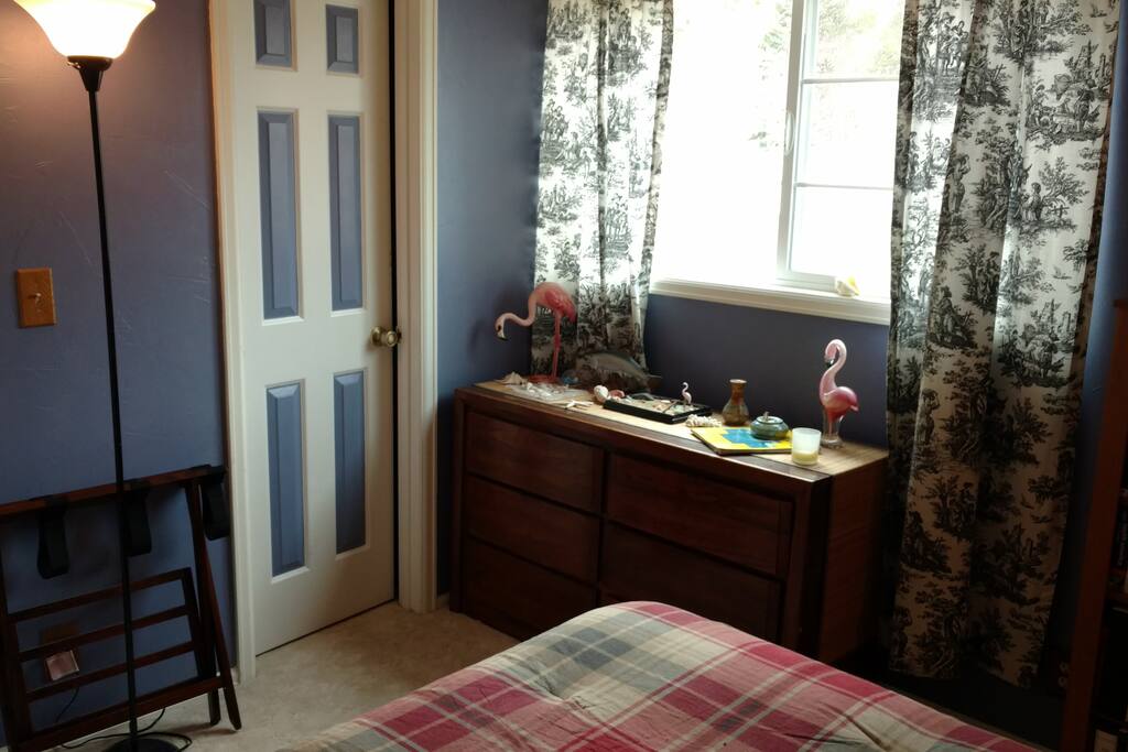 Dresser, walk in closet, and luggage holder for storage. Windows also open.