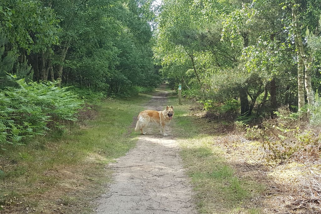 endless walks and cycle tracks