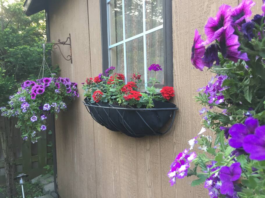 有花才有家,有家必有花
flowers make my house become a sweet home