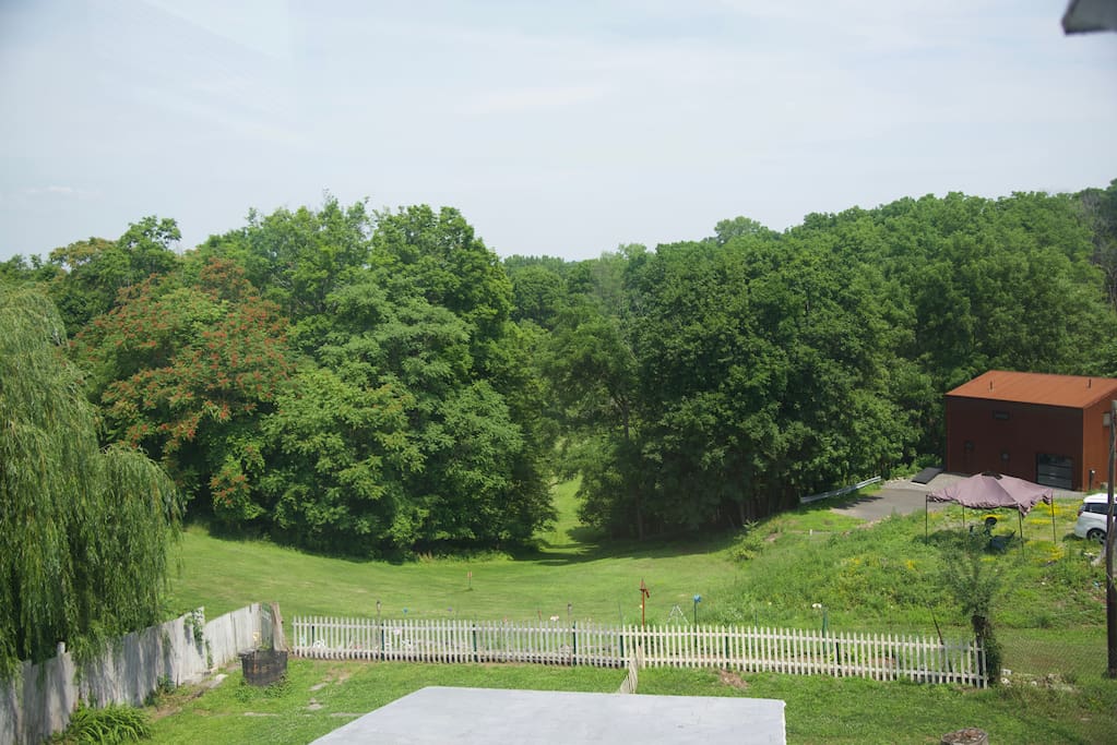 View from the eating area