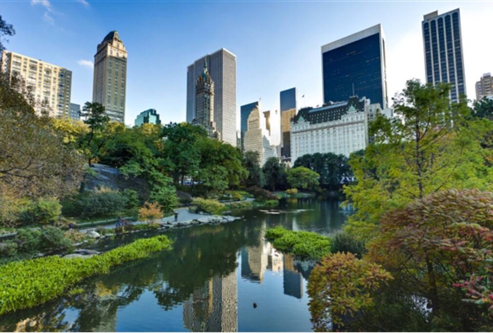 WALK to Central Park.
