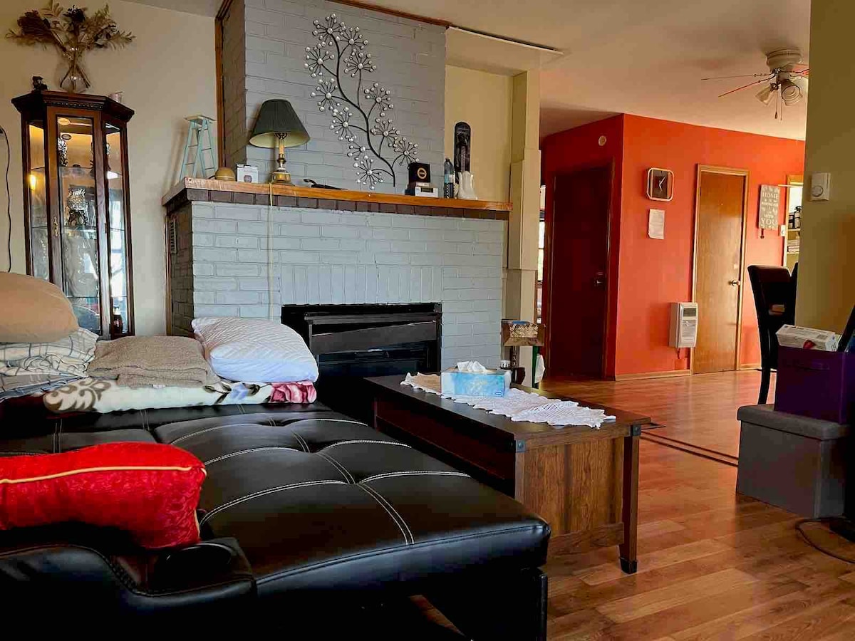 Izvucite kožni kauč na razvlačenje.  Električni kamin