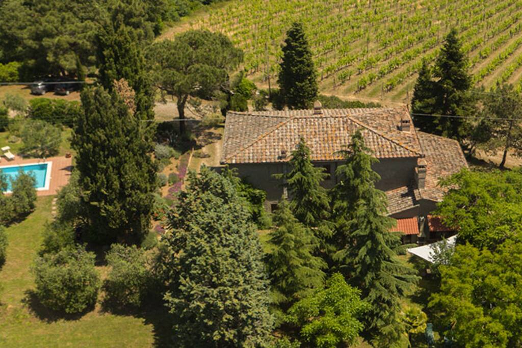 Aereal View, swimming pool, private garden