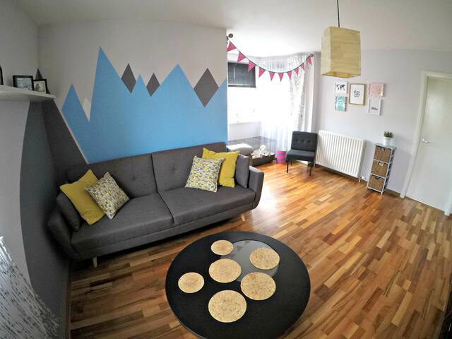 Private Room in Spacious Pretty Apartment