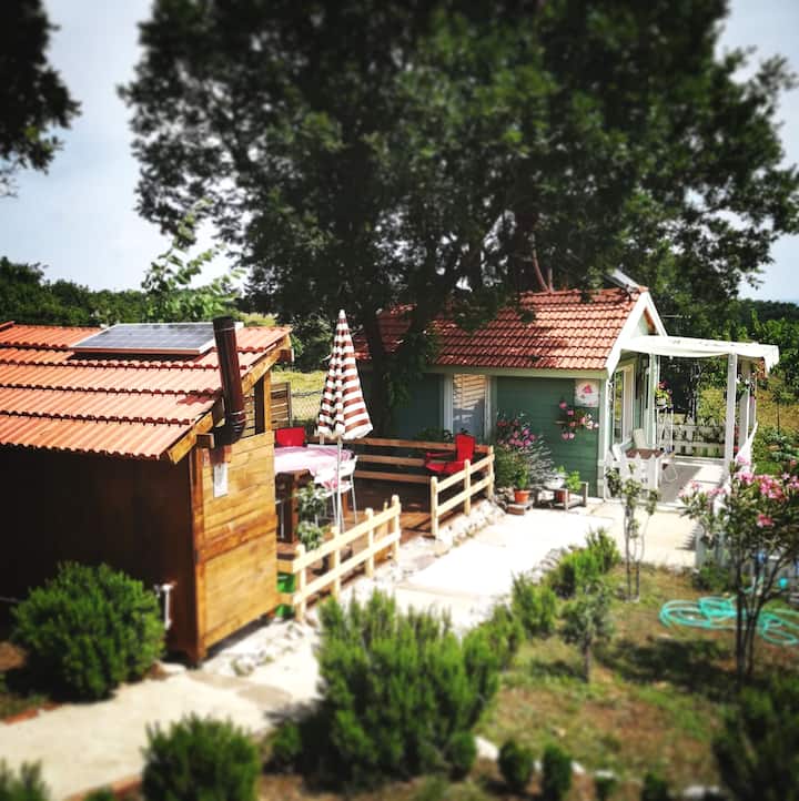 igneada masal ev limankoy koyu sehrinde kiralik bungalovlar kirklareli turkiye