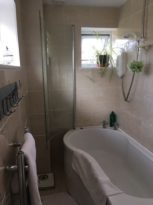 Modern bathroom with large bath and shower