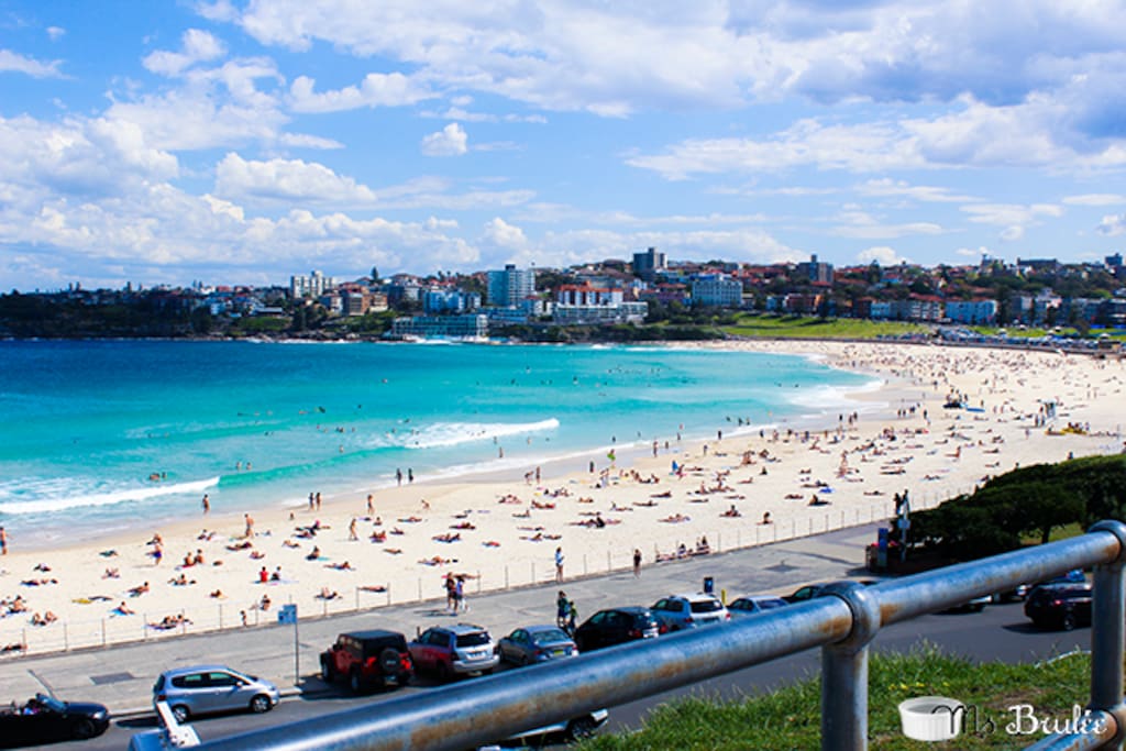 North Bondi Beach
