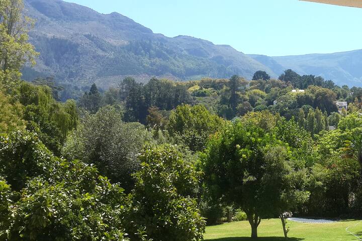 Upper Constantia, Cape Town Relax gallery image 3