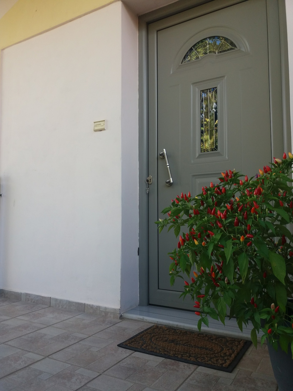 A gray front door with a decorative glass panel is shown, flanked by a vibrant green potted plant featuring clusters of small red peppers. The tiled entrance area is well-kept, inviting guests to enter the property.
