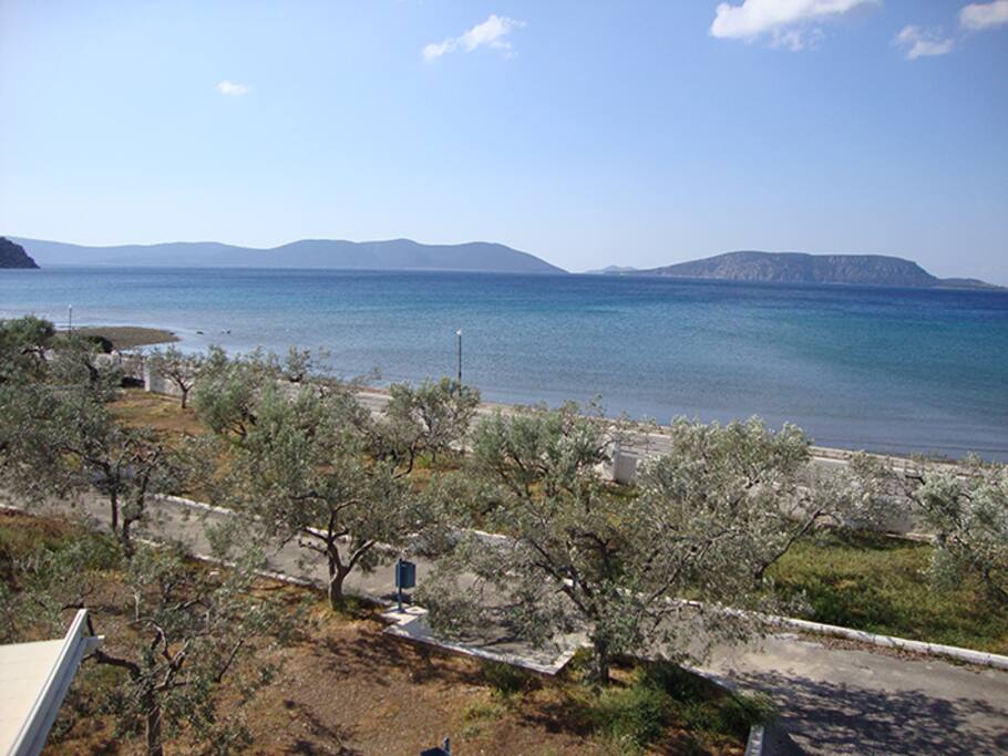 Sea side room view
