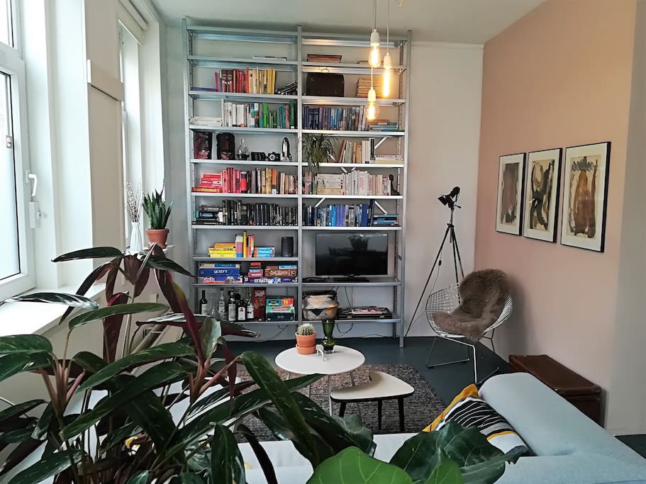 Light-filled living room with industrial design, greenery and a pink wall!