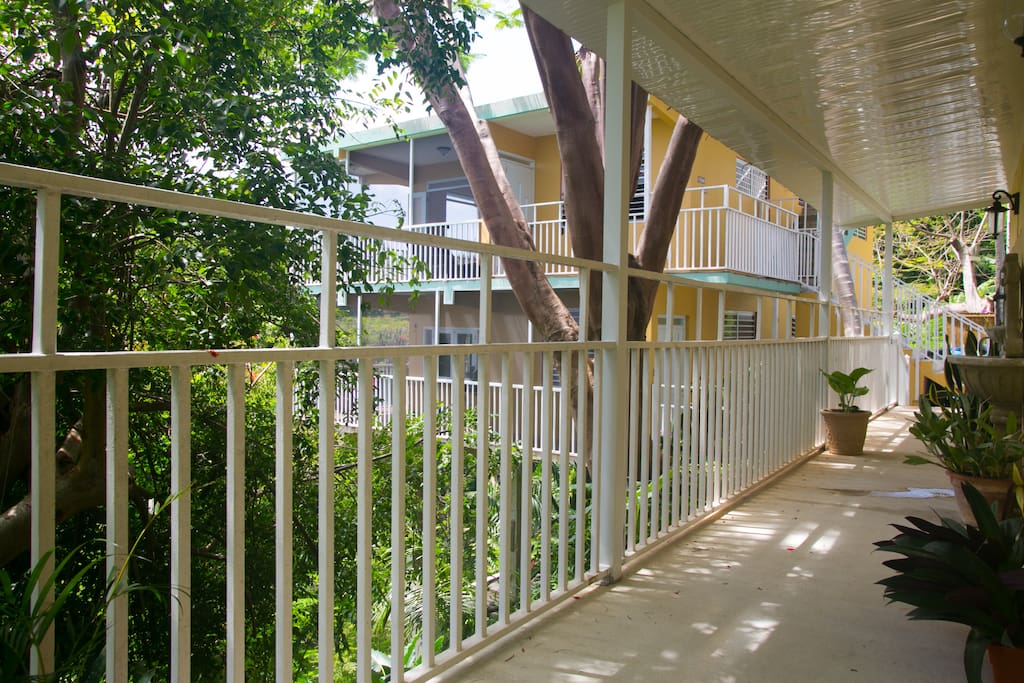 The walkway to the apartment.