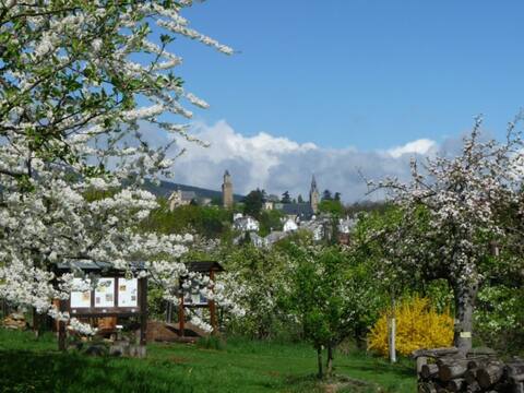 2-Room Flat, Kronberg, 1-4 Pers.,15km to Frankfurt