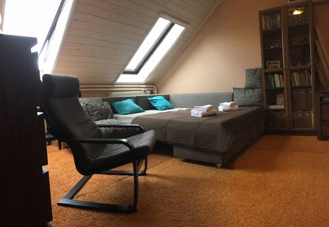 Superb studio, best relax. Free parking.