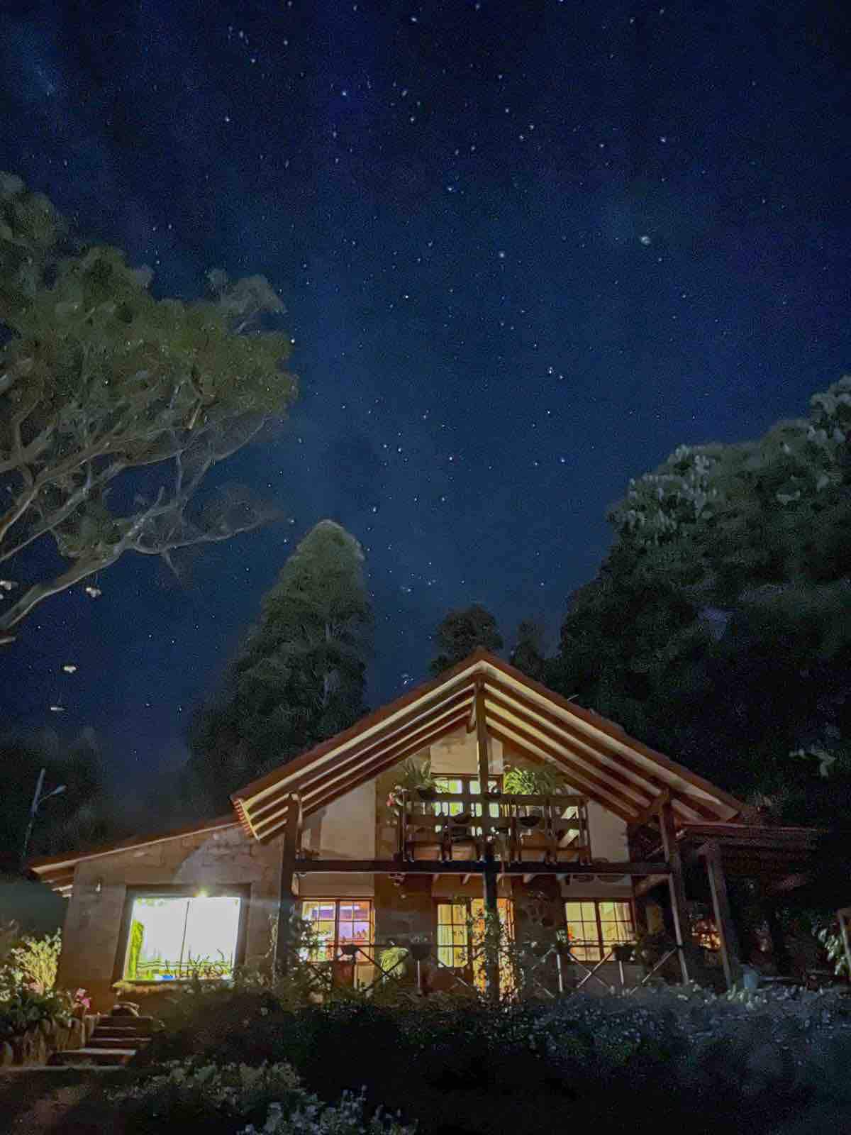 A charming cabin is illuminated from within, surrounded by tall trees under a clear night sky filled with stars. The structure features a steeply pitched roof and large windows, inviting a connection with the natural surroundings.