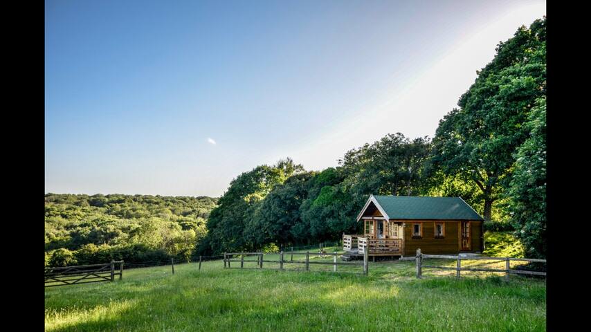 The Secret Log Cabin Huts For Rent In Rhodes Minnis England