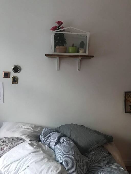 Zimmer 1