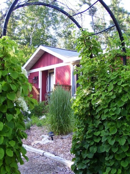 The front garden through the ivy covered trellis.