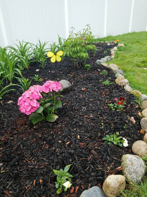 Flower bed-front yard
