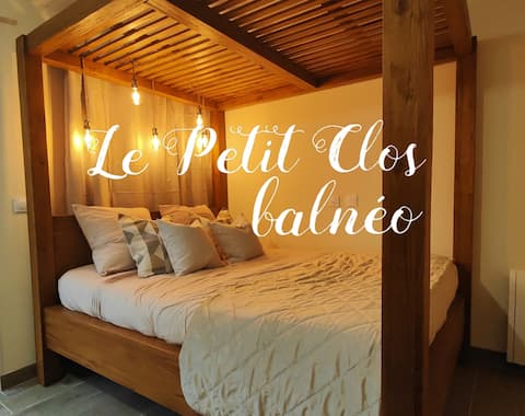 Top performing Airbnb: "Le Petit Clos" Studio with Spa in Chelles