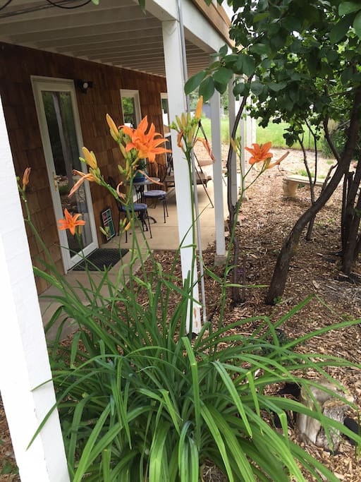 Summer photo of guest entrance in July when day lilies are in bloom.