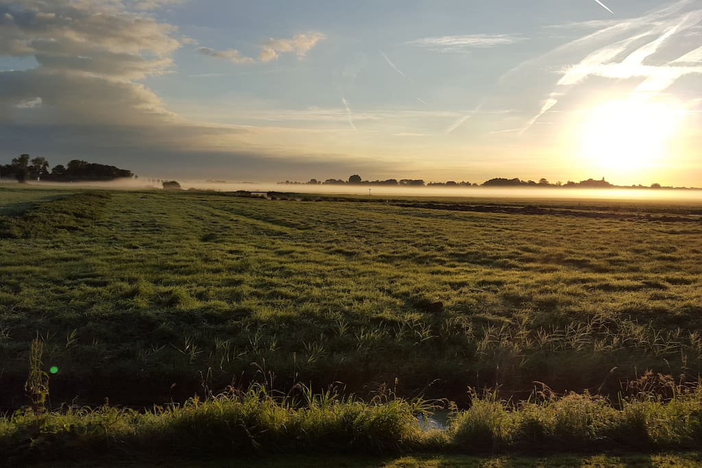 Zouteveense Polder achter de B&B