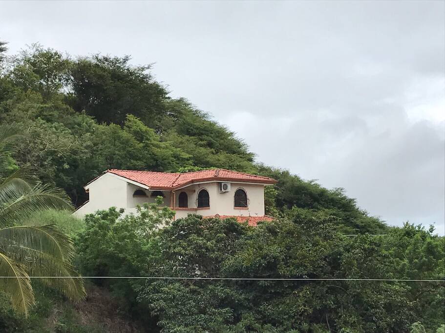 Our house is surrounded by beautiful flora.